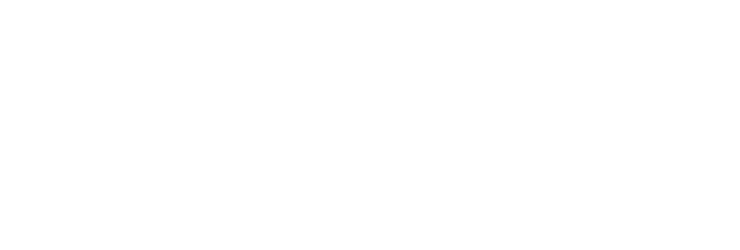 Logo Soul Sisters